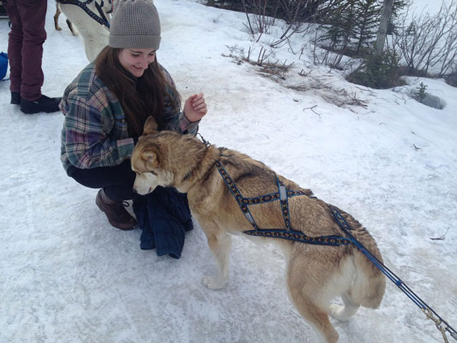 Montando en trineo en Canmore, Alberta