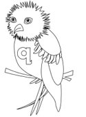 dibujos del alfabeto