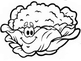 la coliflor