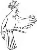 imágenes de aves/loro