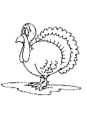 imágenes de pavo