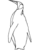 imágenes de pingüinos