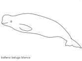 imágenes de ballenas