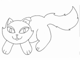 imágenes de gatos