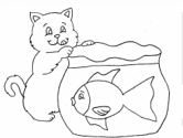 imágenes de gatos