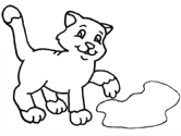 imágenes de gatos
