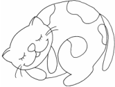 imágenes de gatos