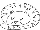 imágenes de gatos
