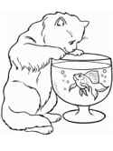 imágenes de gatos