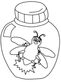 imágenes de insectos