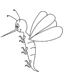 imágenes de insectos