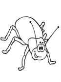 imágenes de insectos