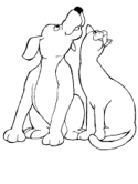 imágenes de perros