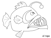 imágenes de peces