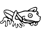 imágenes de ranas