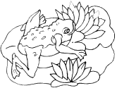imágenes de ranas
