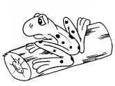 imágenes de ranas