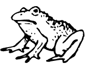 imágenes de ranas