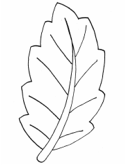 imágenes de otoño