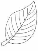 imágenes de otoño