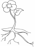 imágenes para el primavera