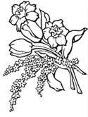 imágenes de flores