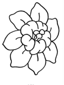 imágenes de flores