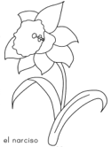 imágenes de flores