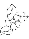 imágenes de flores