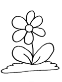 imágenes de flores