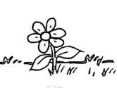 imágenes de flores