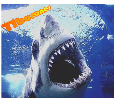Tiburones