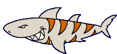 free shark clipart