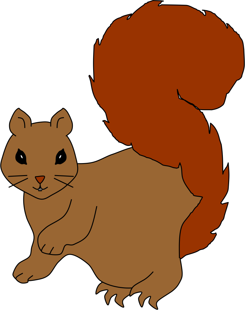ardilla