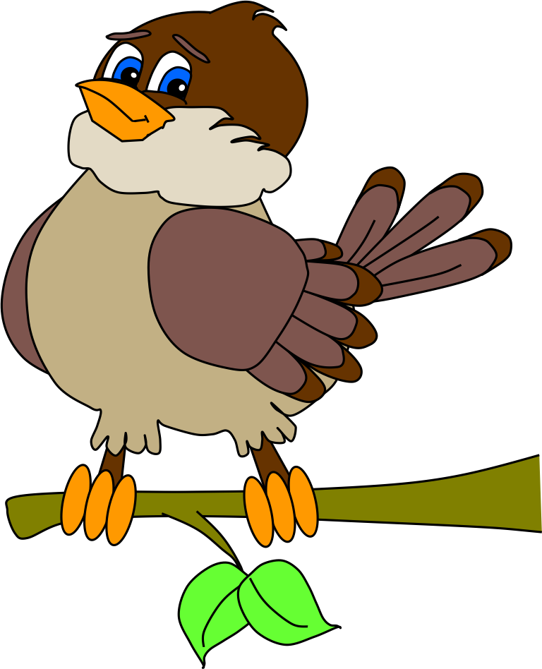 pájaro