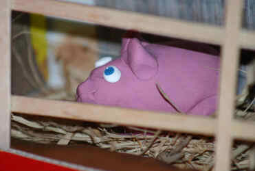 diorama - cerdito