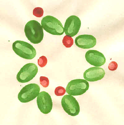 corona de acebo