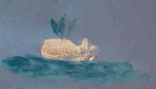 Ballena con huellas