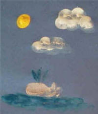 ballena