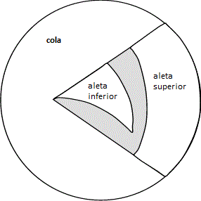 Plantilla para la torta