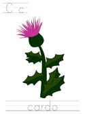 Trazar líneas con imágenes de Escocia
